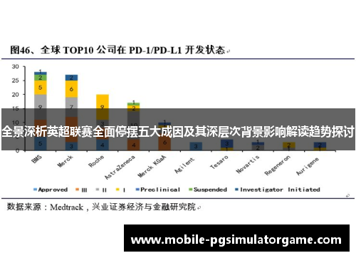 全景深析英超联赛全面停摆五大成因及其深层次背景影响解读趋势探讨