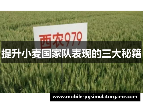 提升小麦国家队表现的三大秘籍