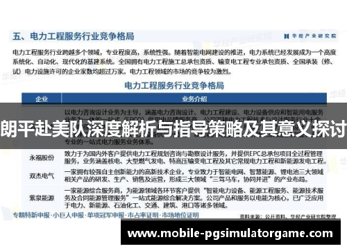 朗平赴美队深度解析与指导策略及其意义探讨