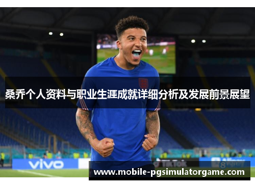 桑乔个人资料与职业生涯成就详细分析及发展前景展望