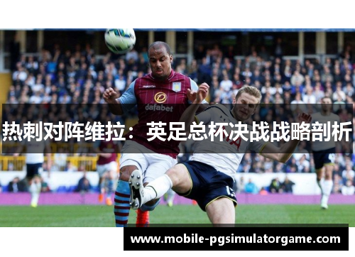 热刺对阵维拉：英足总杯决战战略剖析